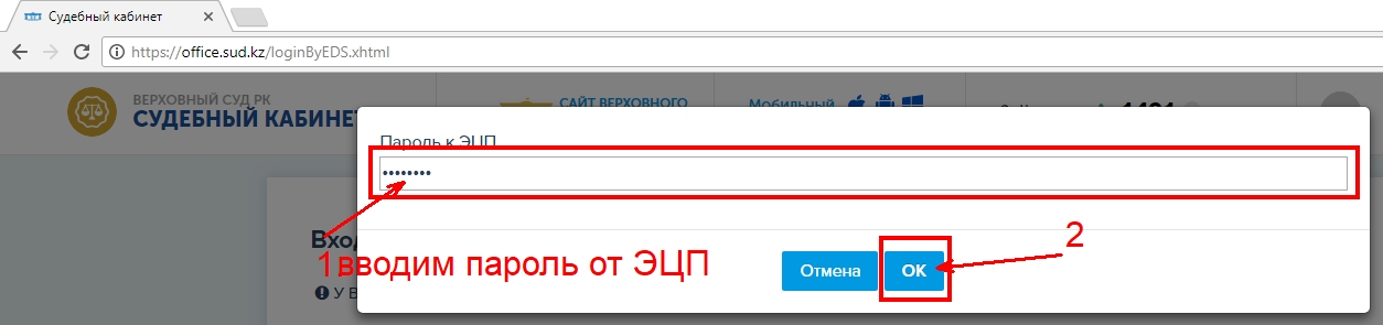 вводим пароль к ЭЦП