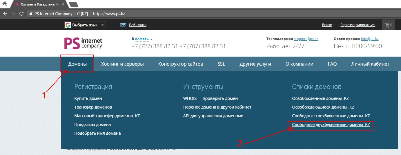 Свободные домены. Домен kz. Предзаказ домена. Домен и хостинг. Массовый домен